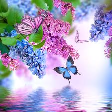 Check spelling or type a new query. Amazon Com Romantic Live Wallpapers Appstore For Android