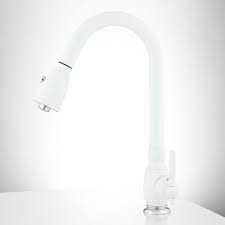 white kitchen faucet with sprayer sink