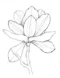Magnolia Floral Print Floral Illustrations Flower Drawing Art Gallery Wall