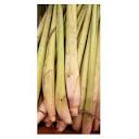 Thai Fresh Lemongrass - 8 stalks : Grocery & Gourmet ... - Amazon.com