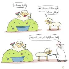 صور مضحكة لعيد الاضحى و اجمل نكت و مواقف مضحكة مع خروف العيد