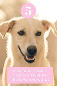Dogs Are Considered Family Members By Their Owners So Their Health Is One Of Life S Priorities It Naturally Does Not Best Dog Food Dog Food Recipes Best Dogs