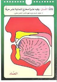 الإسلام اليوم صور مخارج الحروف العربية للدكتور أيمن سويد حفظه الله Learn Quran Learning Blog