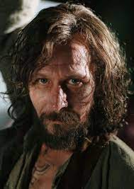Sirius Black Harry Potter Films Harry Potter Wiki Harry Potter Quotes