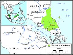 They range in size from single cells, like the malaria parasite, to 'tapeworms' which may reach thirty feet in length and hence are not microscopic at all! Jakun Djakun In Malaysia Profile