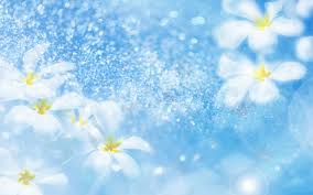 Best place of wallpapers for free download. Free Downloads Wallpaper 1920x1200 36004
