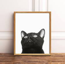 Black And White Cat Pictures To Print Black Cat Print Cat Printable Art Black And White Cat Wall Art Black And White Print Cat Portrait Print Peekaboo Cat Cat Home Decor In 2020 Cat Printable Cat Wall Art