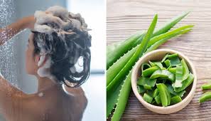 Remedios caseros para hacer crecer el cabello con resultados rápidos en tan solo 7 días. Receta De Shampoo Natural De Sabila Y Cebolla Para Que El Cabello Crezca Mas Rapido Vix