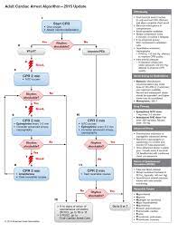 Complete acls algorithms for 2020. Acls Training Icu Lindenhofspital Crit Cloud