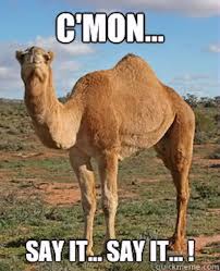 Guess what day it is? 12 Funny Hump Day Memes That Will Make Your Whole Week