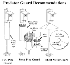 Deep Bluebird Fact Sheet Bird House Kits Bird Houses Bird House