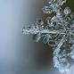 Grand Kyiv Ballet Presents Snow Queen