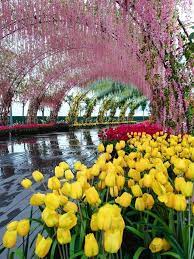 Macam gempak je bunyinya ye? Photos This Stunning New Garden In Penang Looks Like It Came Right Out Of A Fairy Tale