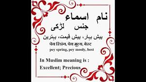 (transitive) to repeat aloud (some passage, poem or other text previously memorized, or in front of one's eyes). Recited Meaning In Urdu