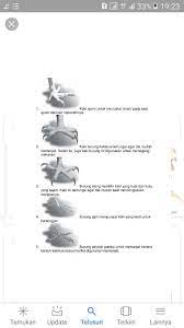 Jenis burung pemanjat = jenis kaki dengan dua jari ke belakang dan dua jari ke. Bentuk2 Kaki Burung Serta Fungsinya Brainly Co Id