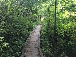 Check spelling or type a new query. Racoon Creek List Alltrails