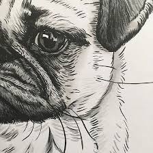 Custom handmade pet portraits painted from your photos. Pin On Behind The Scenes Debmon Design