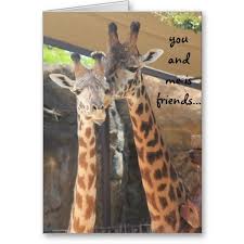 Best Friend Funny Birthday Card Talking Giraffes Card Zazzle Com Giraffe Birthday Funny Birthday Cards Giraffe