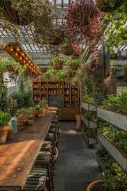 Palm and cactus mix when planting your palms and cactuses indoors and outdoors. Organo Patio Mix For Palms And Cactus Patio Ideas
