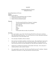 Practical differentiated worksheet for dissecting a flower. Sexual Reproduction In Flowers