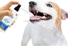 Nylabone Advanced Oral Care Dental Spray