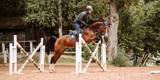 Springgymnastik So Nutzt Du Die Winterarbeit Sinnvoll Fur Dich Und Dein Pferd Fundis Reitsport