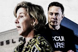 Tesla chair Robyn Denholm proposes new Elon Musk pay deal