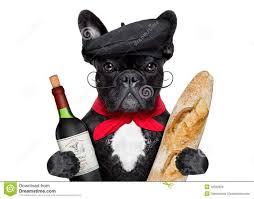 France Happy Birthday Wishes In French French Dog Google Search Happy Birthday My Friend Birthday Humor Funny Birthday Meme