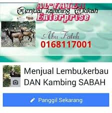 Kursus peternakan domba garut jogja mengenal kambing etawa kaligesing kambing etawa kaligesing mempunyai 3 kelas yakini, kelas kontes, kelas 3/5/2018 · inilah cara ternak kambing tanpa ngarit dengan sistem modern penggunaan jerami fermentasi sebagai pakan utama. Kursus Penternakan Kambing Pedaging Asas Perniagaan Sabah Home Facebook