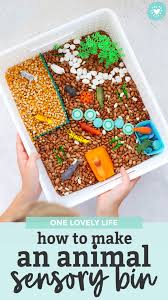 Последние твиты от potato bin laden (@maxbrockmann_). How To Make An Animal Sensory Bin One Lovely Life