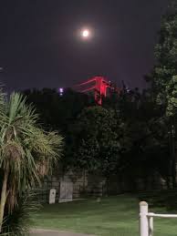 Bogazici 2020