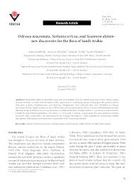 Image result for Sesamum parviflorum