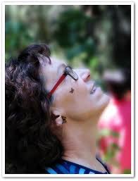 Our Little Acre: 2017