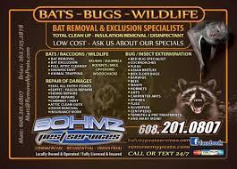 The professional pest and animal controllers listed on this site remove or resolve conflicts between man and beast. Bohmz Pest Control Wild Animal Removal Wisconsin