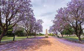 Kunjungi Dubbo Terbaik Di Dubbo Travel New South Wales 2021 Expedia Tourism