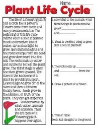 Reading is a very important part of learning a language. Plant Life Cycle Reading Passage Plant Life Cycle Reading Passages Life Cycles