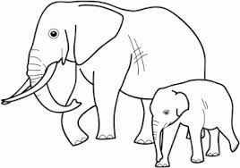 Download gambar sketsa gajah 2013 gambar co id. 9000 Gambar Gajah Sketsa Gratis Infobaru