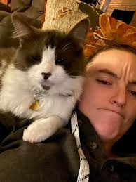 Lost cat Romeo in Parke County, Indiana, near Indiana St and Erie