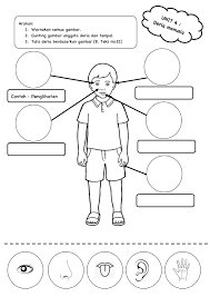 Berbeza dengan manusia, anjing menggunakan hidung untuk melihat apa yang berlaku di sekelilingnya. Latihan Sains Tahun 1 Flip Ebook Pages 1 4 Anyflip Anyflip