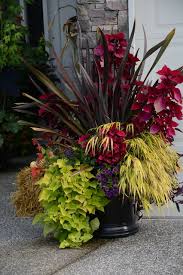 Maybe you would like to learn more about one of these? 9 Ways To Refresh Your Summer Container Gardens For Fall