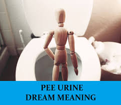 Pee Urine Dream Interpretation Best Dream Meaning Analysis Answer