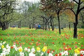  beautiful garden, big enough to always find peaceful spots. (4 tips) best garden in berlin, entrance fee 3 € (3 tips) the tulip garden made me feel i was in holland. Ehemaliges Buga Gelande Berlin So Schon Ist Der Britzer Garten Berlin Tagesspiegel