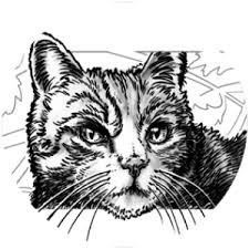 Supercoloring.com is a super fun for all ages: Exclusive Graystripe S Vow Excerpt Warrior Cats
