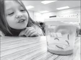 El Dorado School District releases third nine weeks honor roll