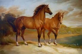 The Font B Horses B Font Digital Font B Paint B Font Diy Font B Jpg 454 300 Pixels Cavalos Bonitos Cavalos Fotografia De Animais