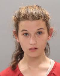 MOORE, MISTI L Charge: POSSESSION OF DRUG PARAPHERNALIA This information  and more is available at https://tnac.isoms.cloud:8001/portal/Jail?hours=24