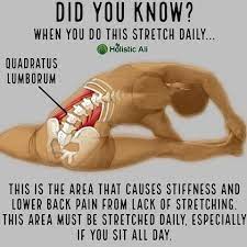 Pin By Nina Kaus On Yoga Did You Know Health And Fitness Articles Easy Yoga Workouts Back Exercises
