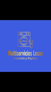 Multiservicios Lesax