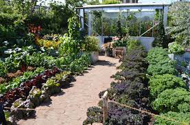 The Chris Evans Taste Garden Designer Jon Wheatley Chelsea Flower Show 2017 Vegetable Garden