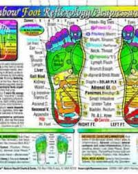 acupressure chart points meridians